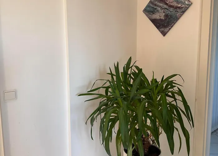 Paradies וילה קלוסטרניובורג